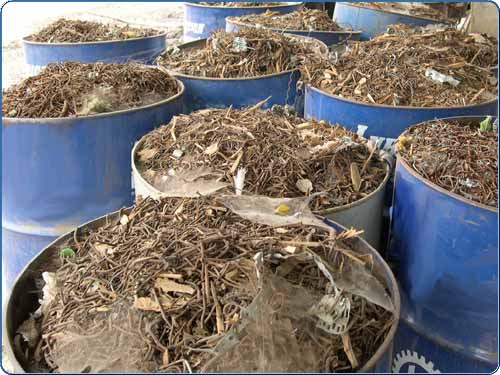 These 55 gallon buckets of nails have been separated during the mulching process through a magnetic heat pully. They will be taken to be recycled.