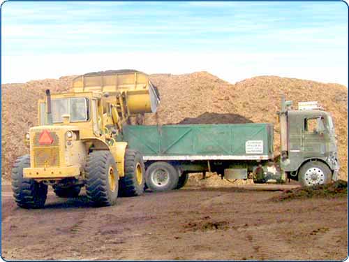 After all of the processes are finished, the mulch is then loaded onto trucks and delivered.