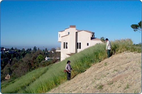 In some instances, handwork is the best weed removal method. In this scene, you see people cleaning out an area with gas-powered weed-eaters. The vegetation that is cut down is then removed and should be taken to a green waste facility.