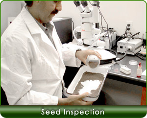 Seed Inspection