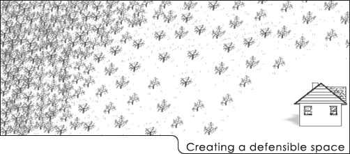 thinning image
